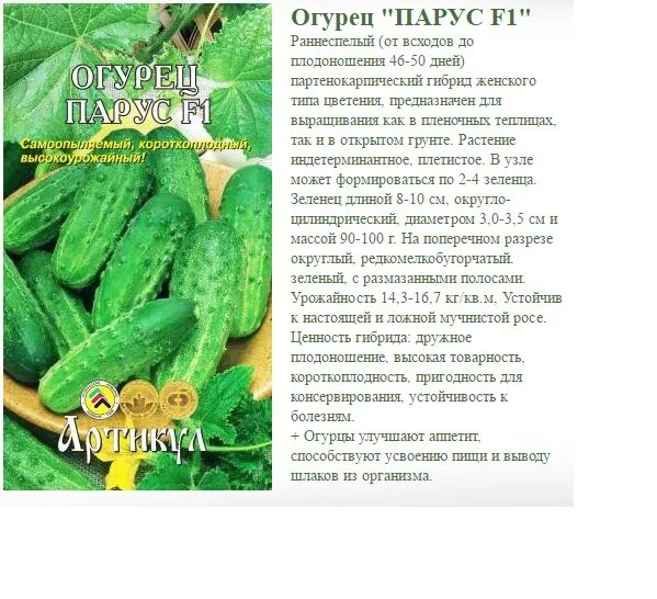 Сорт огурцов самоопыляемых для засолки. Лучшие сорта огурцов для теплицы самоопыляемые для засолки. сорта огурцов для засолки самоопыляемые. огурцы для открытого грунта. семена огурцов для открытого грунта самоопыляемые.