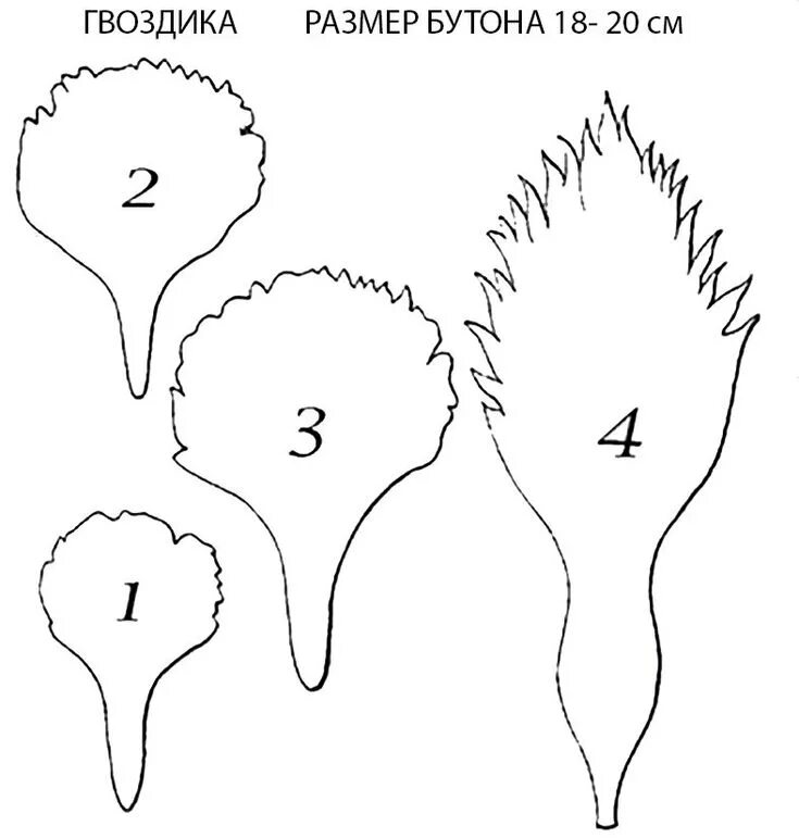 Ростовая гвоздика. Шаблоны цветов для поделок. Цветы гвоздики для вырезания. Выкройки цветов. Выкройки цветов из гофрированной бумаги.