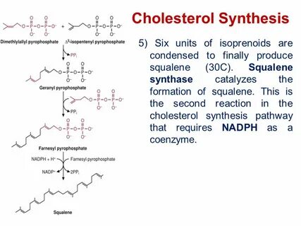 J synthesis