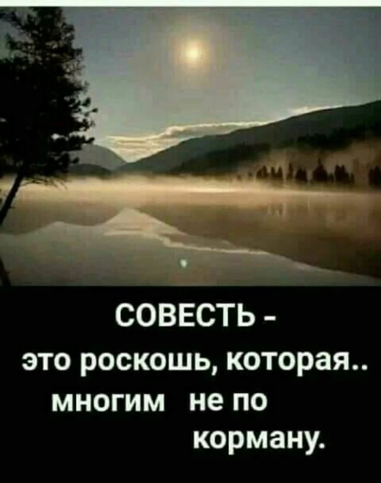 Смешные фразы про совесть. Спать с чистой совестью. Чистые руки чистая совесть. Бог располагает а человек предполагает смысл. У кого чистая совесть тому скрывать.