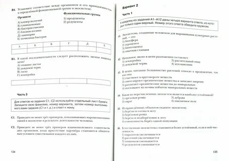Итоговый проект 9 класс темы по биологии