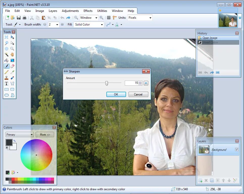 Paint русская версия. Windows Paint net. Paint фото программы. Паинт4.0.21. Как высветлить картинку в Paint.