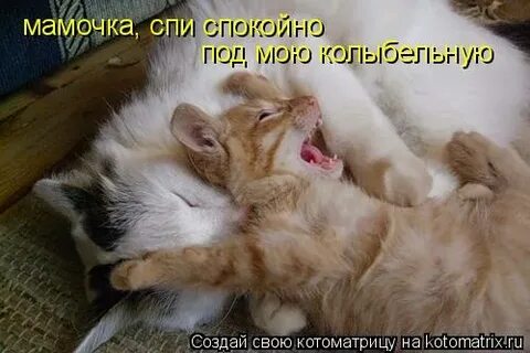Спокойно под