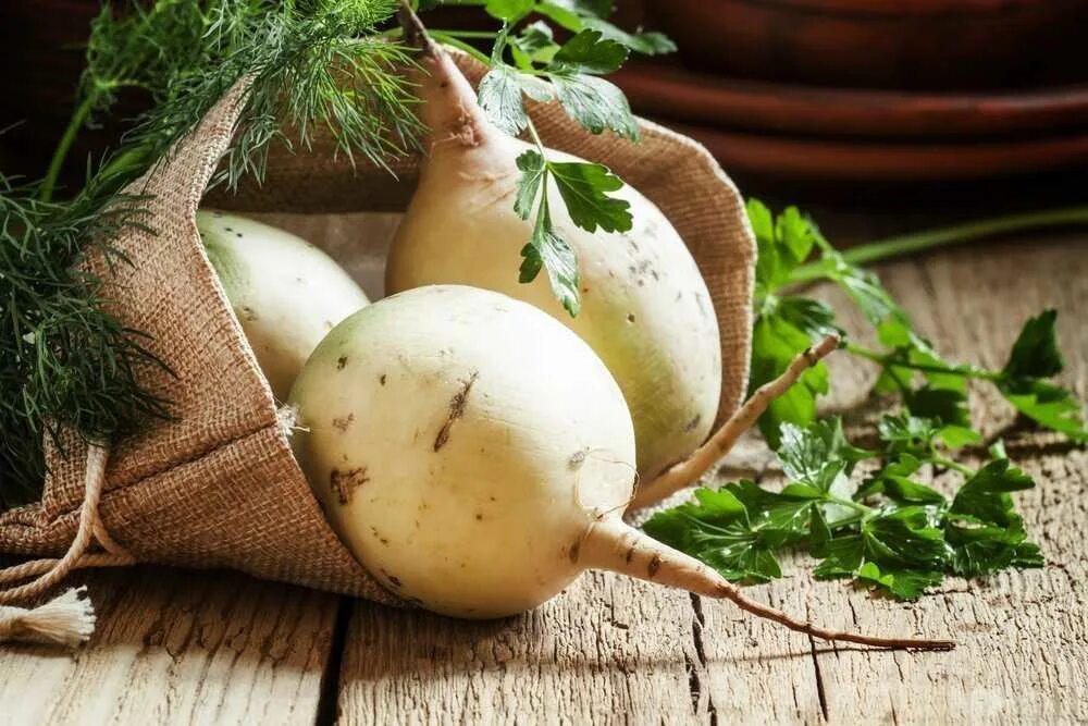 Лук репа горох свекла. Репа (Brassica Rapa). Редька, брюква, дайкон. Брюква кольраби. Редька турнепс.