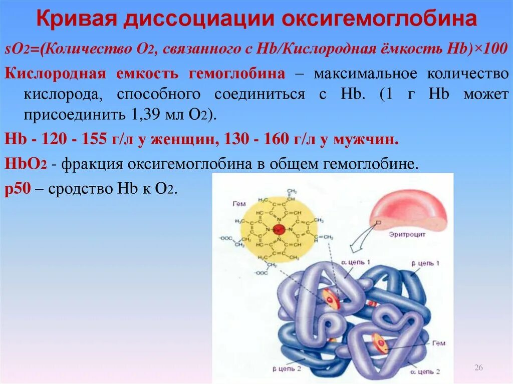 Кислородная емкость гемоглобина. Кривая диссоциации оксигемоглобина. Диссоциация гемоглобина. Кривая диссоциации гемоглобина. Кривая насыщения оксигемоглобина.