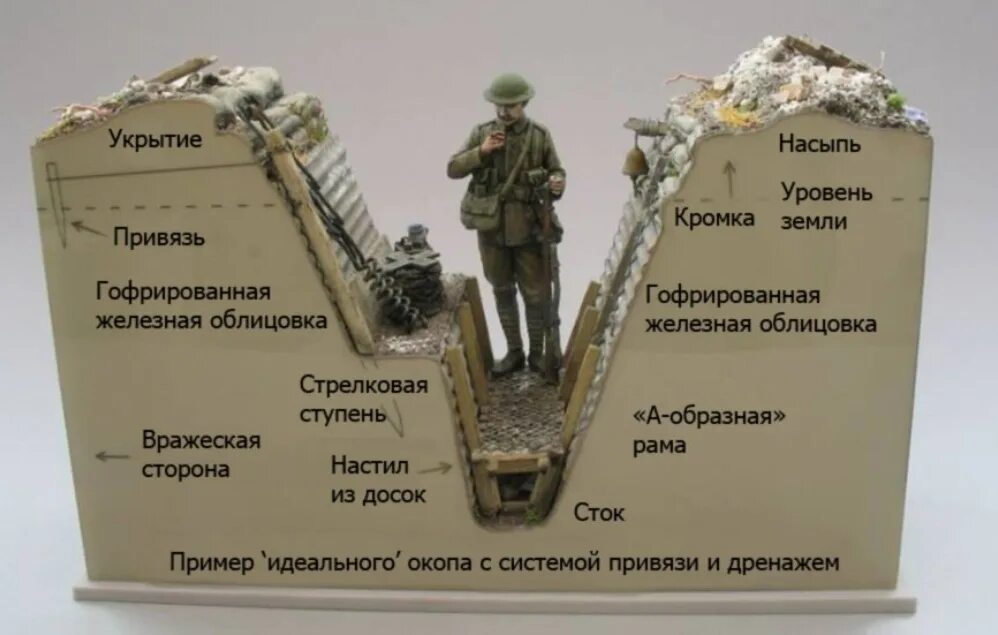 Как устроена мировая
