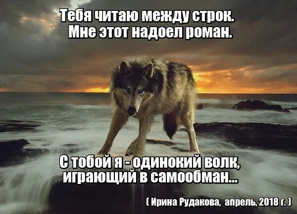 Я тебя найду рассказ на дзен. Цитаты про самообман. Фразы про самообман. Поговорки про самообман. Самообман в пословице.