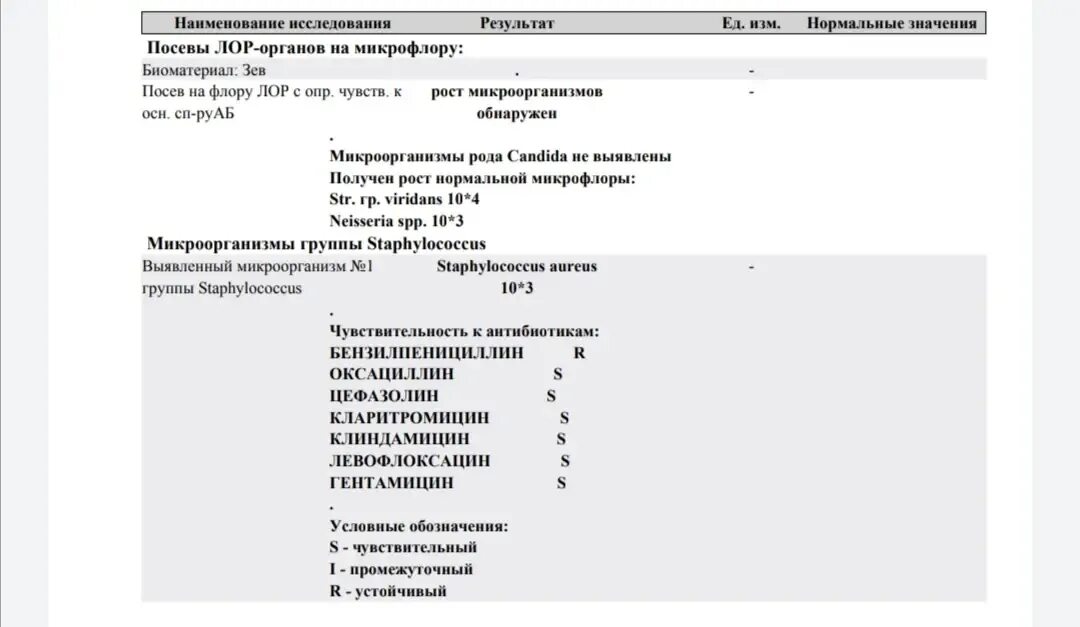 Бак посев на флору и чувствительность к антибиотикам из зева. Мазок из носа на посев. Посев зева на микрофлору норма. Стрептококк пиогенес в мазке из зева у ребенка. Бак посев из зева и носа на микрофлору.