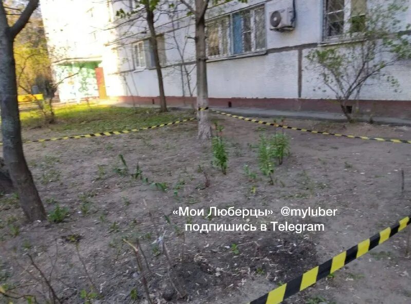 мои люберцы телеграмм