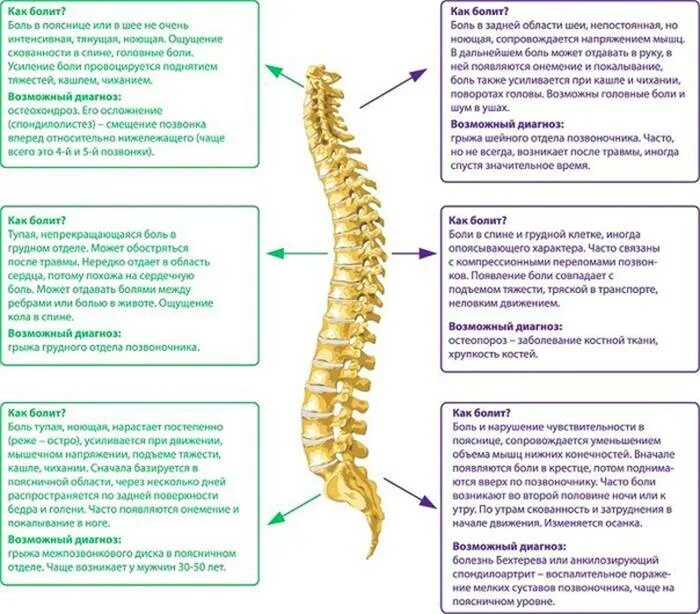 Долго болит позвоночник. Психосоматика грудного отдела позвонки. Психосоматика позвонков шейный отдел.