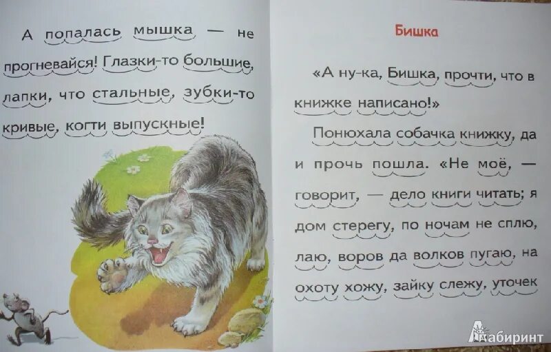 У любы кот васька. К.Д.Ушинский кот Васька. Иллюстрации к рассказу "Васька" Ушинский. Сказка Васька Ушинский.