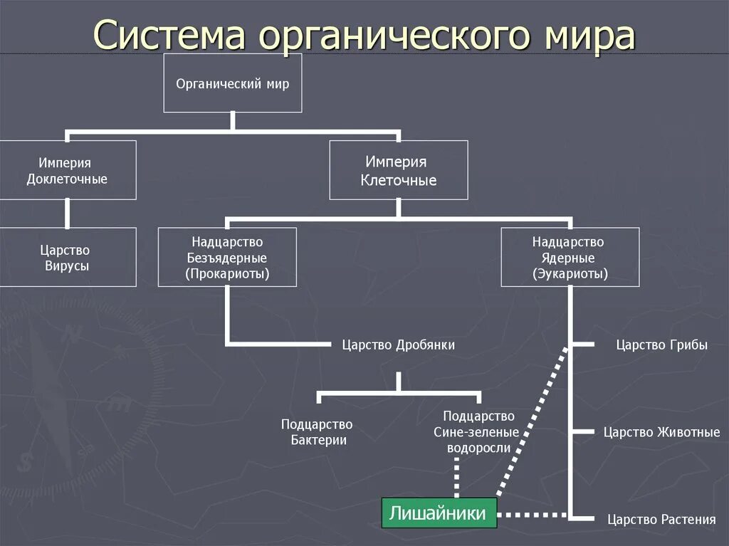 Органический мир схема