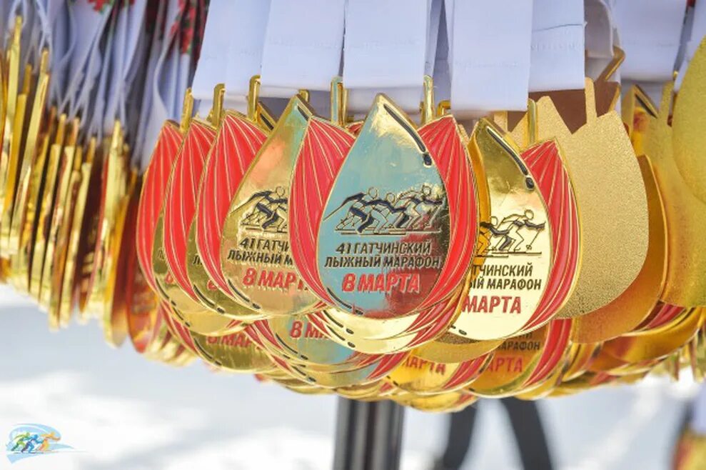 Школа кобралово. Результаты гатчинского. Спортцентр росич коллектив. Коронавирус ленинградская область. Результаты гатчинского.