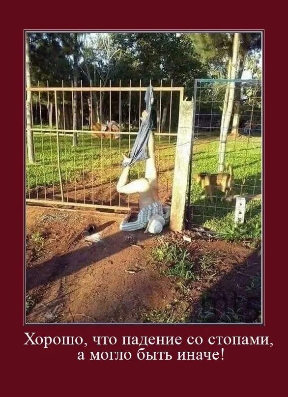 Будет а не иначе. Только так а не иначе. оно залезло к нам на дачу. картинка вот как то так и не как иначе. только так и никак иначе картинки.