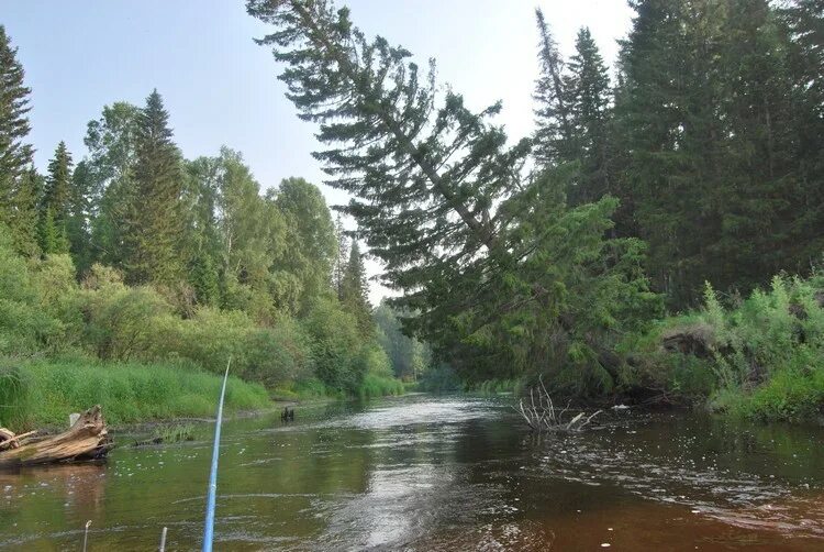 Плотниково томская область бакчарский. Река Галка Бакчарского района. С большая Галка Бакчарского района Томской области. Плотниково Бакчарский район. Бакчар Томская область река Галка.