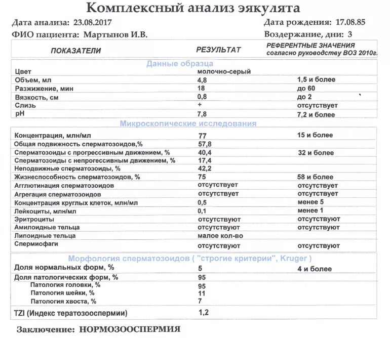 Днк спермограмма сдать. Нормальный анализ морфологии спермограммы. пример нормальной спермограммы с морфологией. спермограмма по крюгеру норма. спермограмма нормозооспермия.