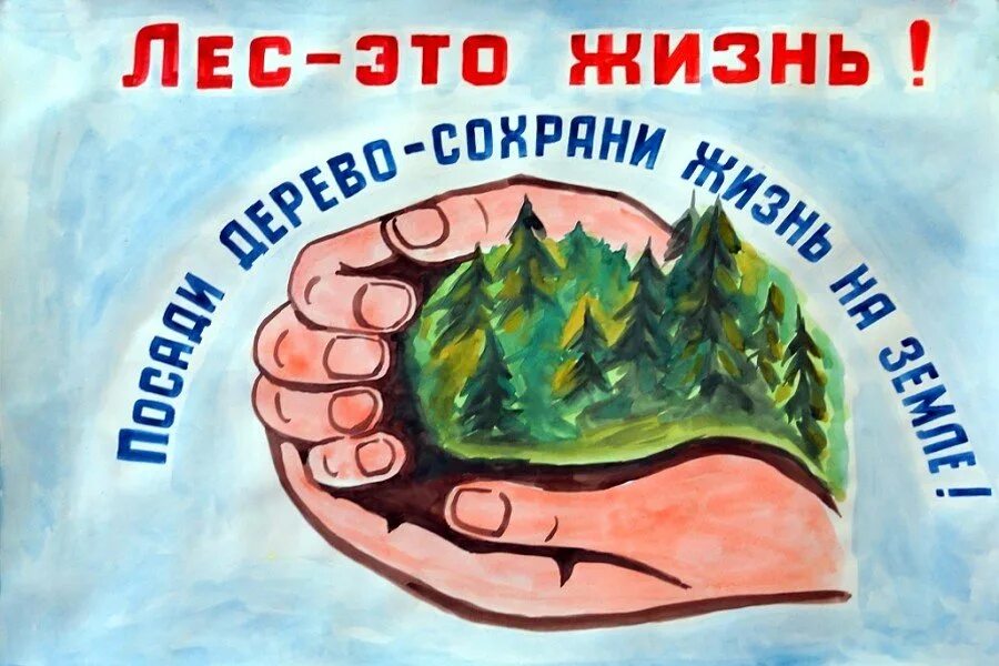 Защита рисунка на тему. Плакат защита леса. плакат по защите природы. плакат на тему защита леса. листовка на тему защита природы.