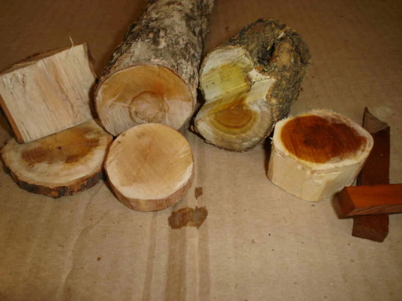 Заготовки из бревна. Сушка древесных спилов. Сушка древесины на корню. Сушка дерева для резьбы.