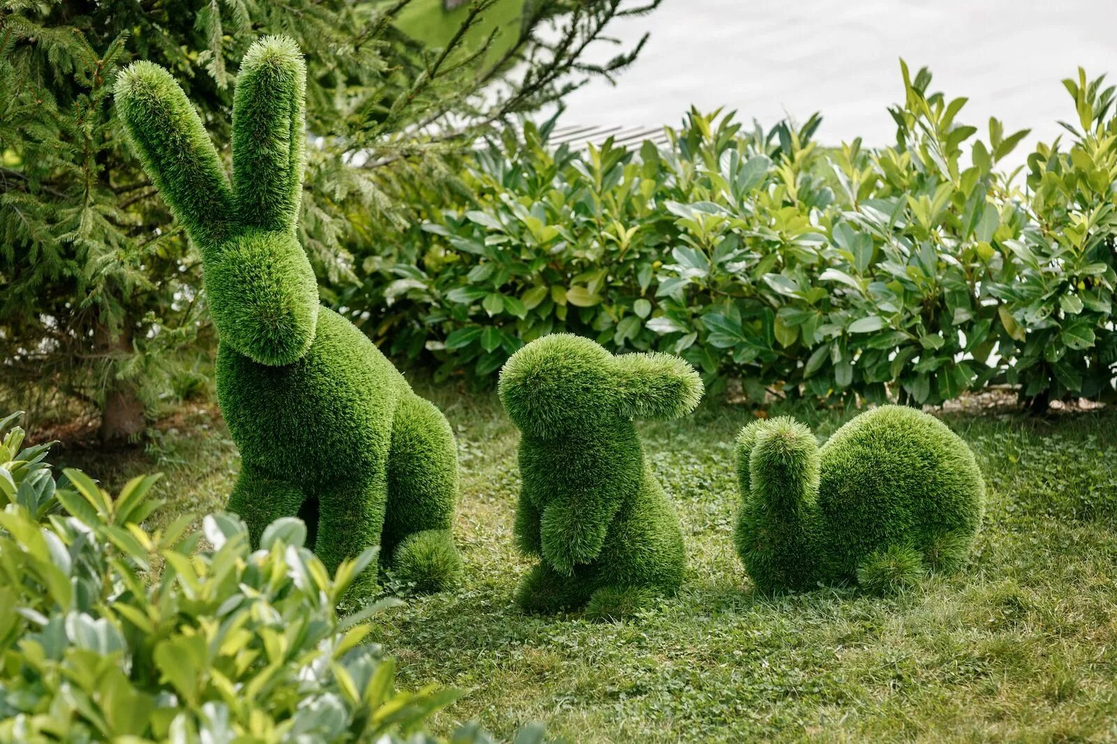 топиар зеленое искусство. топиарная клумба дракон. топиарии из искусственного газона. топиарий животных. топиарное искусство грин арт.