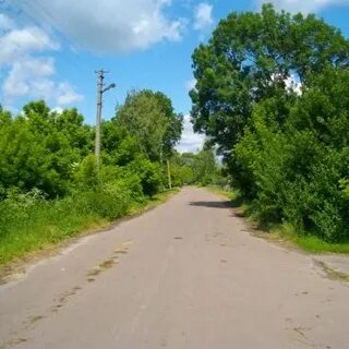 Чайкино черниговская область