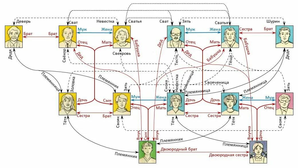 Была связь с братом. Схема родственных связей в семье. Схема родственных связей в семье для ребенка. Родство степени родства схема. Племянник схема родства.