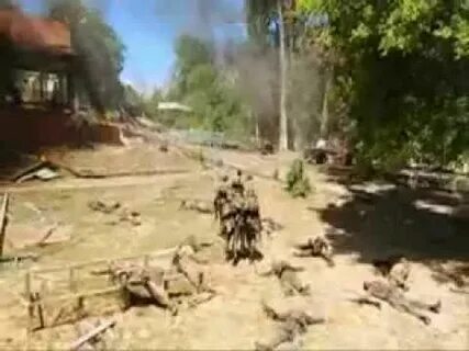 Песня маршала блокпост акация