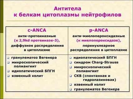 Антитела к цитоплазме нейтрофилов класса