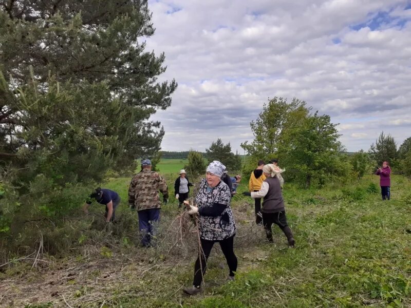 Погода в шераутах в комсомольском районе