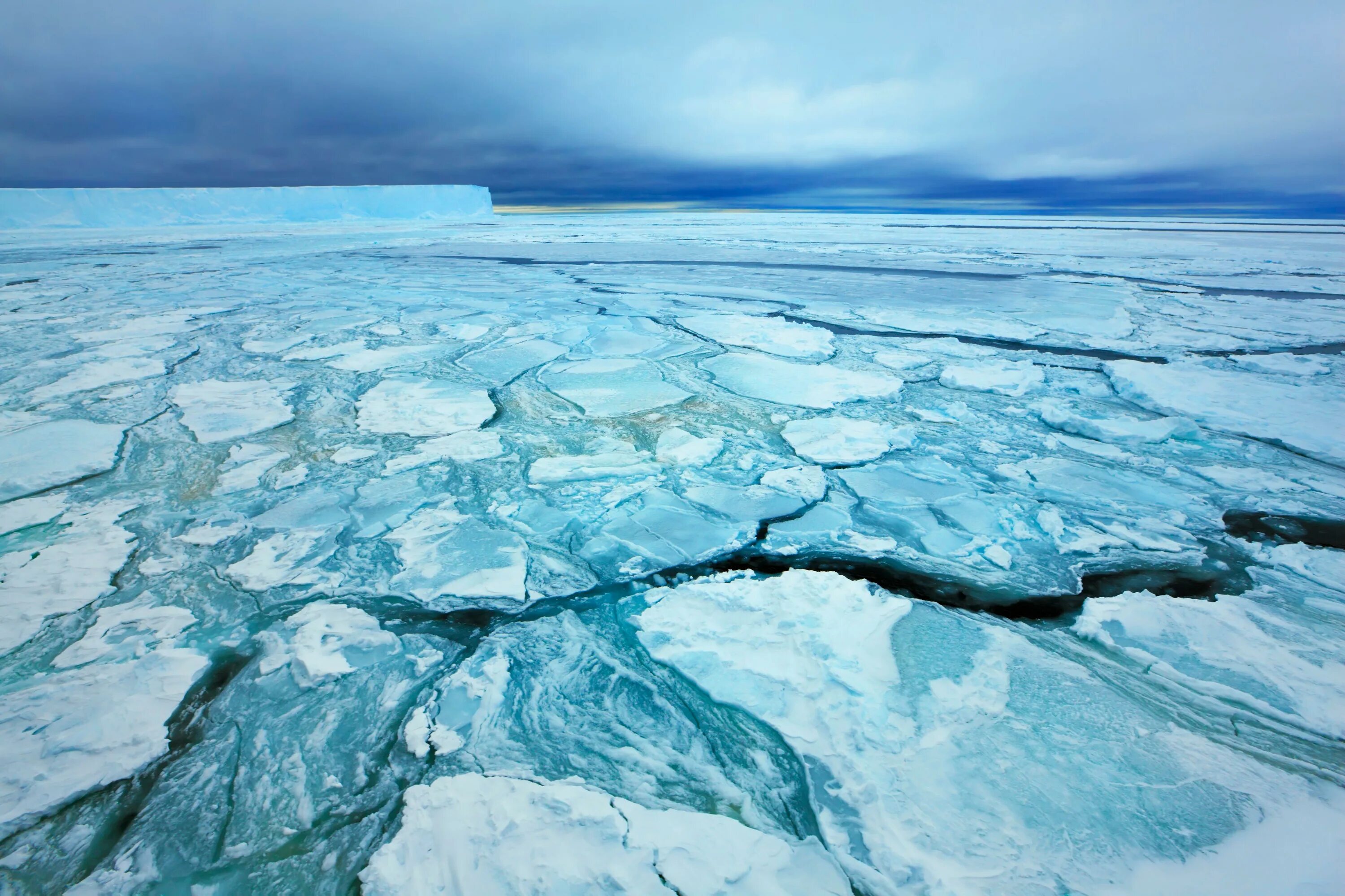Лед взятый. Вечная мерзлота в Антарктиде. Паковые льды Антарктиды. Паковые льды Арктики. Мерзлота Ледовитый океан.