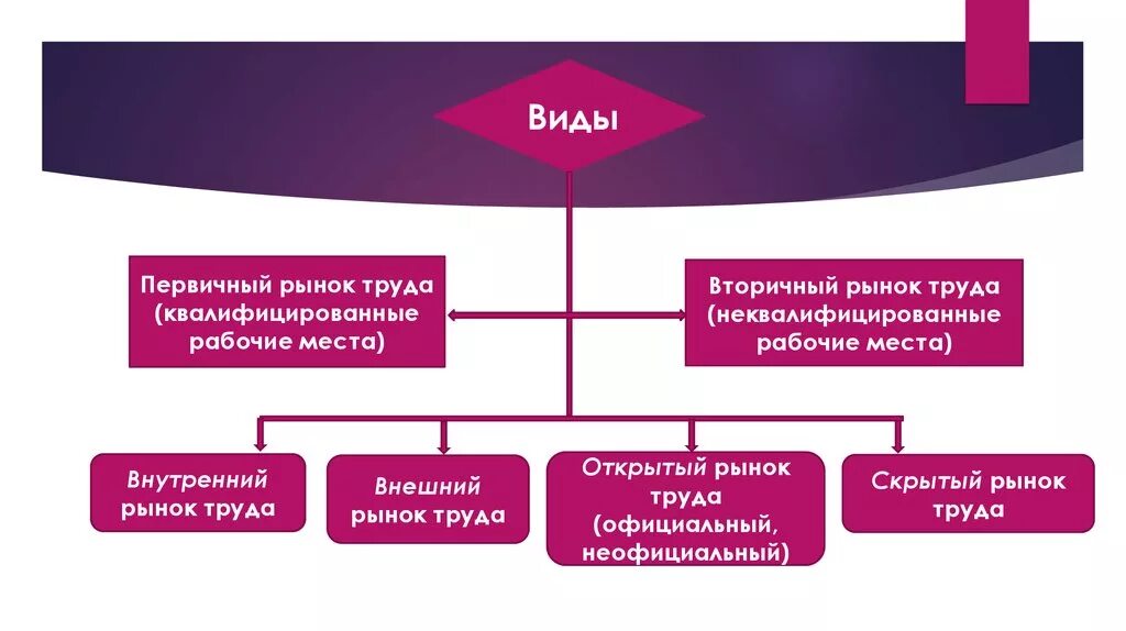 Особенность национального рынка. Типы рынков труда внешний и внутренний. Внешний рынок труда. Внешний вид рынка труда. Первичный и вторичный рынок труда.