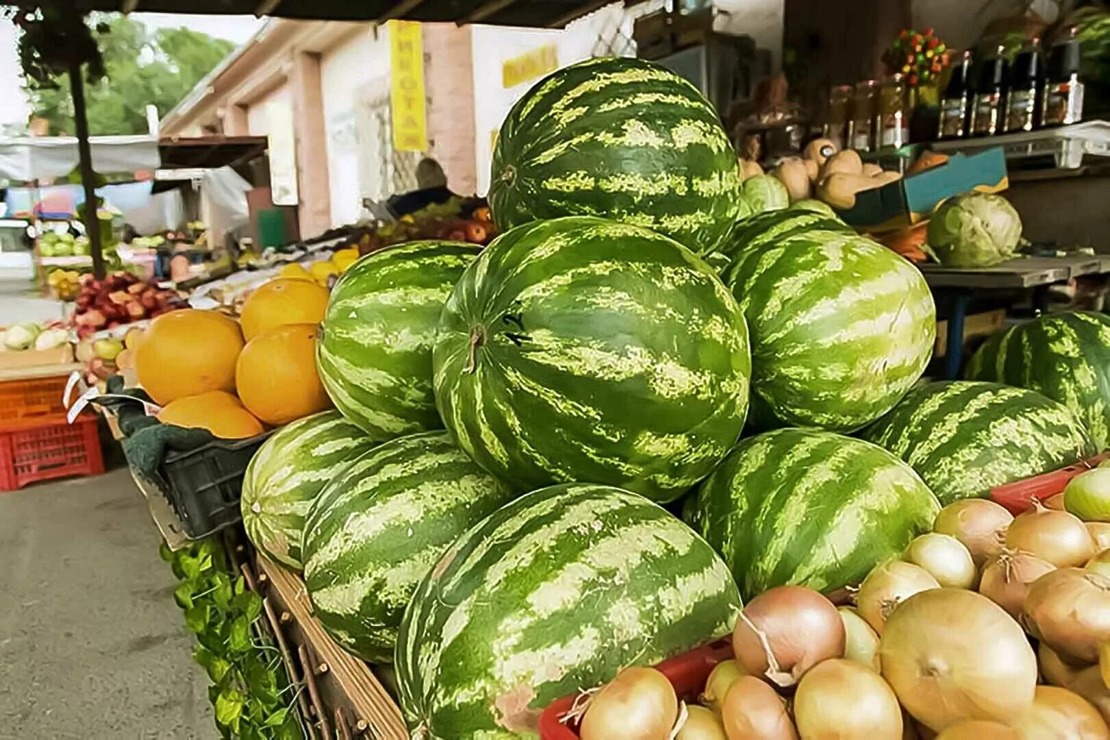 Продается арбузы