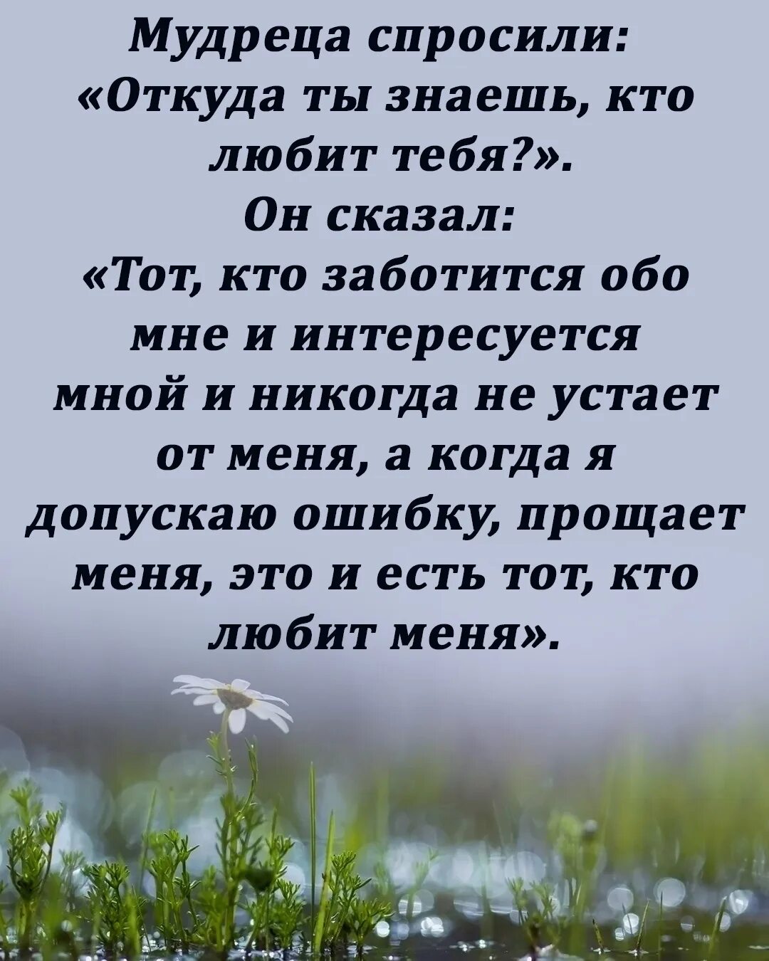 Не заботьтесь что сказать. Мудреца спросили откуда ты знаешь кто любит тебя. Мудреца спросили откуда ты. У мудреца спросили. Мудреца спросили откуда ты знаешь.