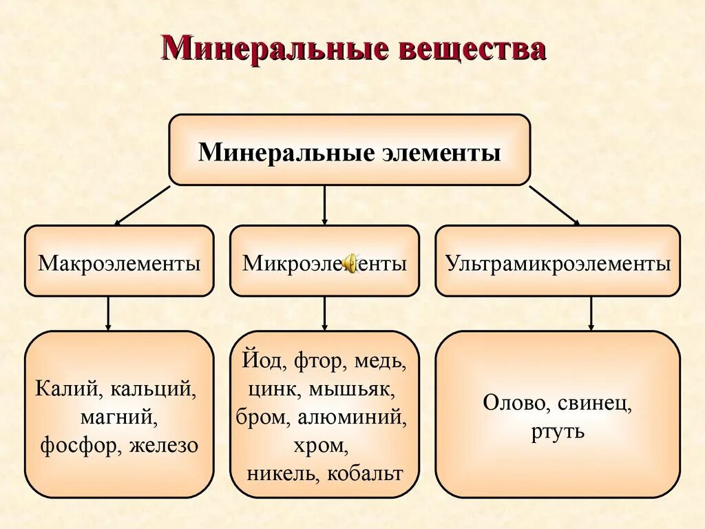 Необходимое для жизни органическое вещество. Минеральные вещества схема. Какие бывают Минеральные вещества. Перечислите основные Минеральные вещества организма. Основной источник Минеральных веществ.