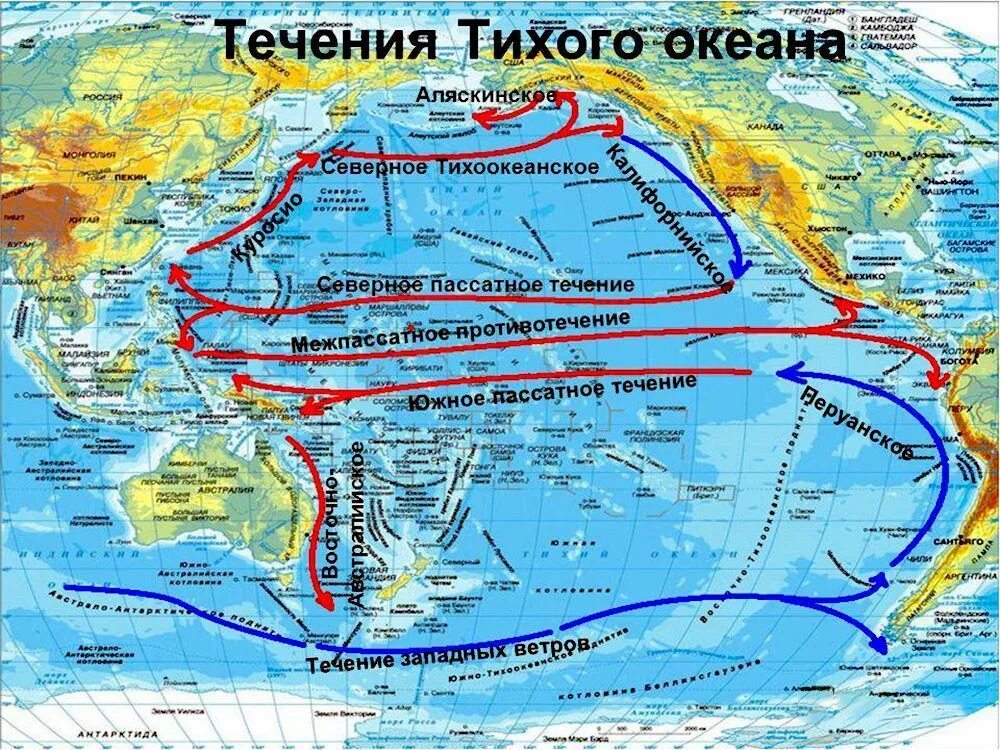 Какие течение воды. Северное пассатное течение на карте мира. Южно пассатное течение на карте мира. Тихий океан на карте. Течение Куросио на карте мира.