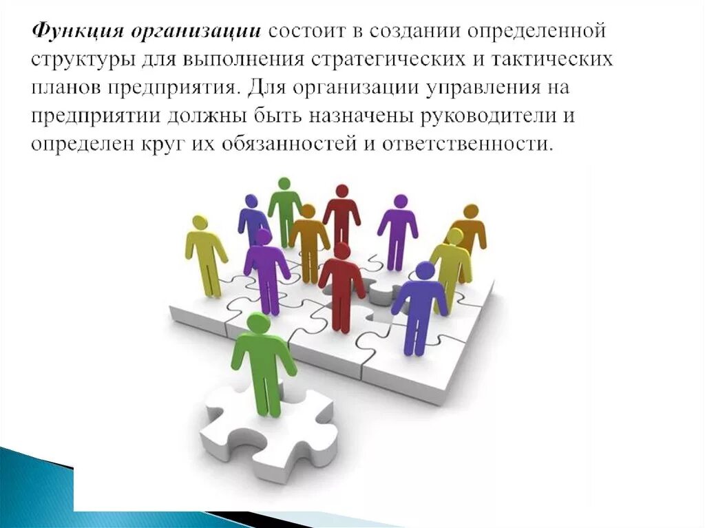 Как организовать деятельность организации. Функции организации. Менеджмент организации. Организационная функция. Организационная функция управления.