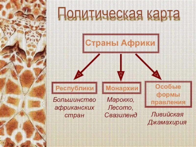 Форма правления африканских стран. Формы правления стран Африки. Государственный Строй стран Африки. Политический Строй Африки.