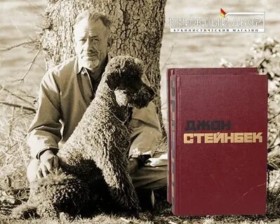 Джона читать
