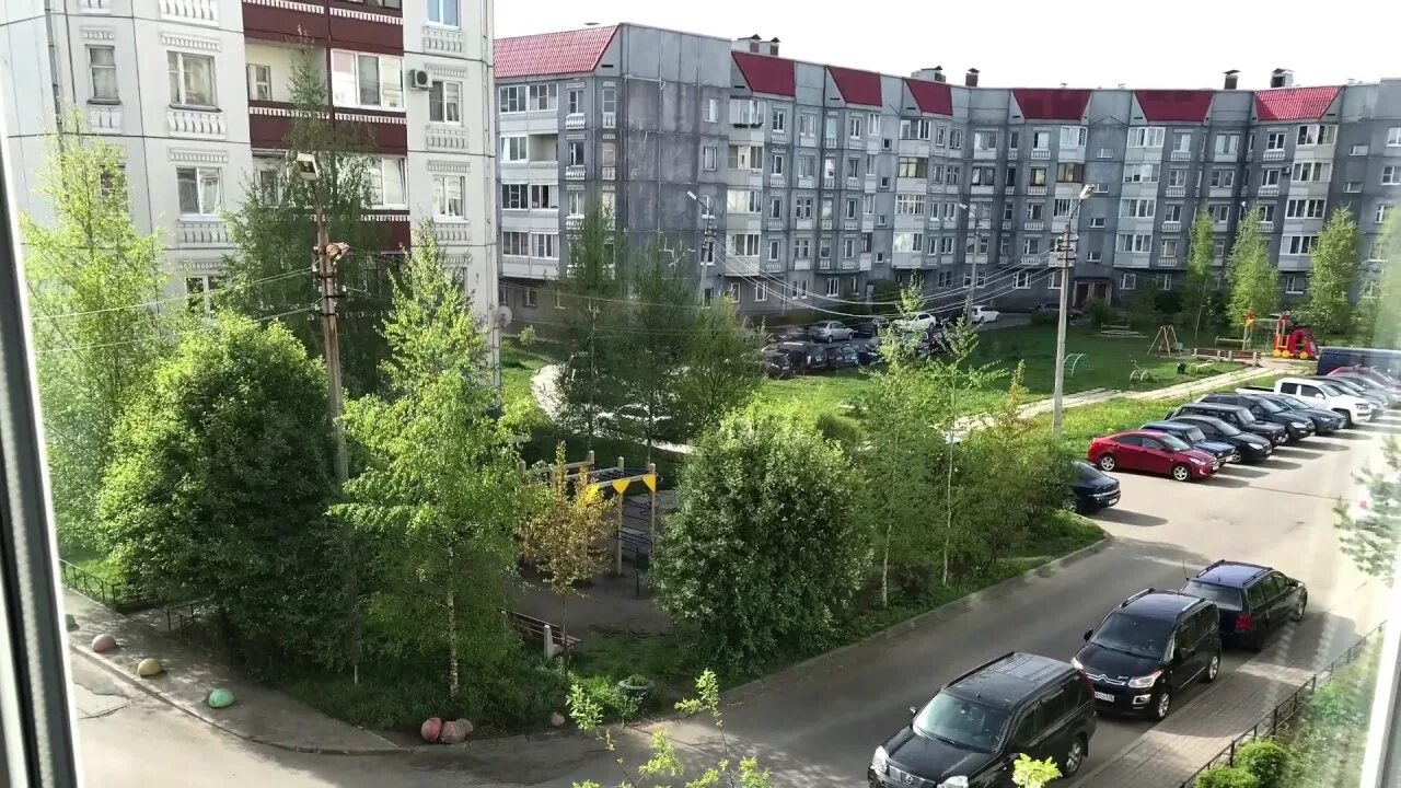 Петергофское ш. Петергофское шоссе 84. петергофское шоссе 84 к3. петергофское шоссе 10. спб петергофское шоссе.