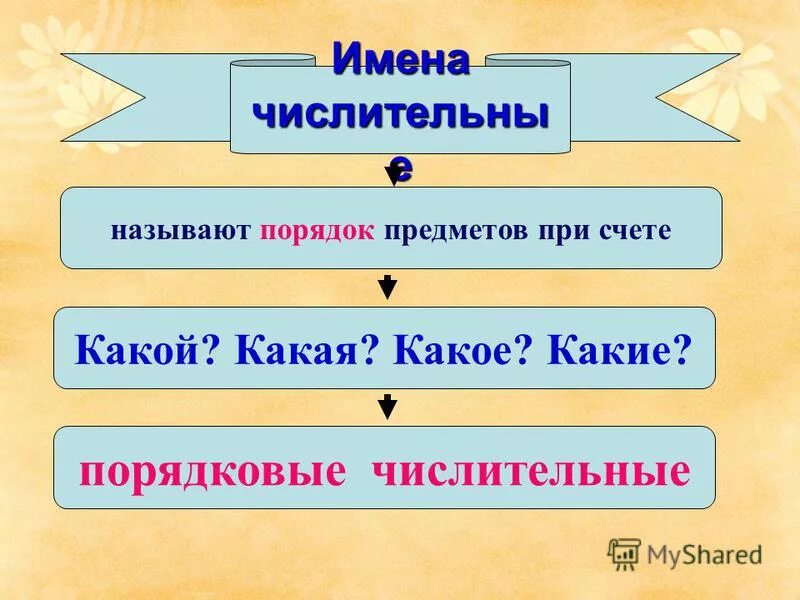 Имя числительное называют. Имя числительное называют