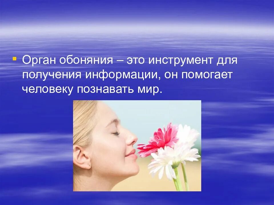 Обоняние информация. Обоняние. обоняние для детей. обоняние картинки. обоняние презентация.