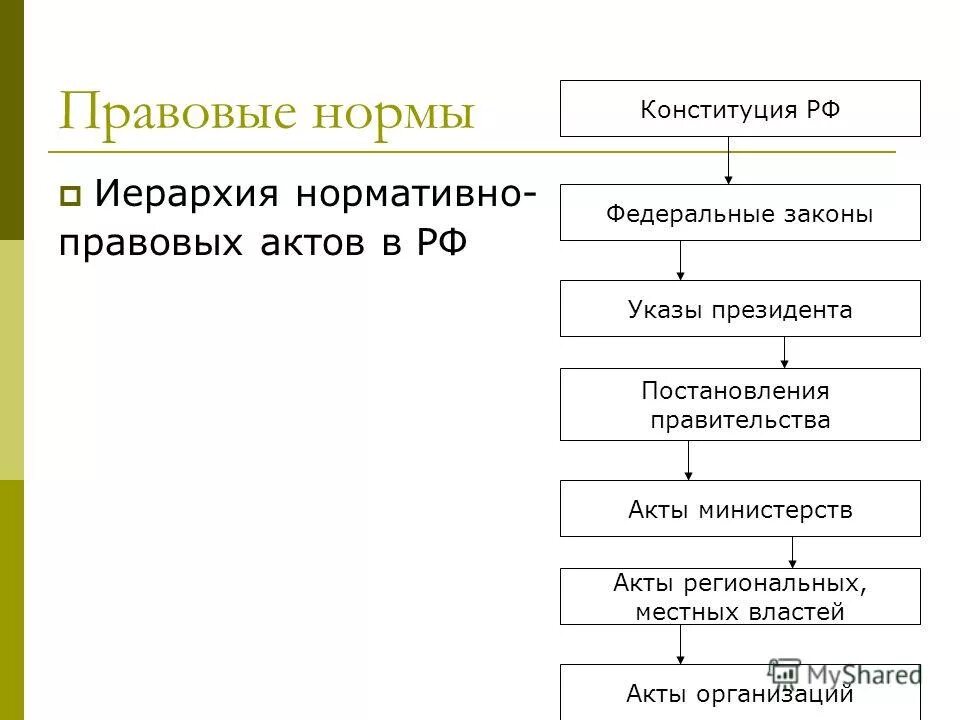 Система иерархии законов