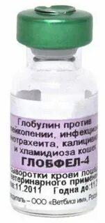 Глобфел 4