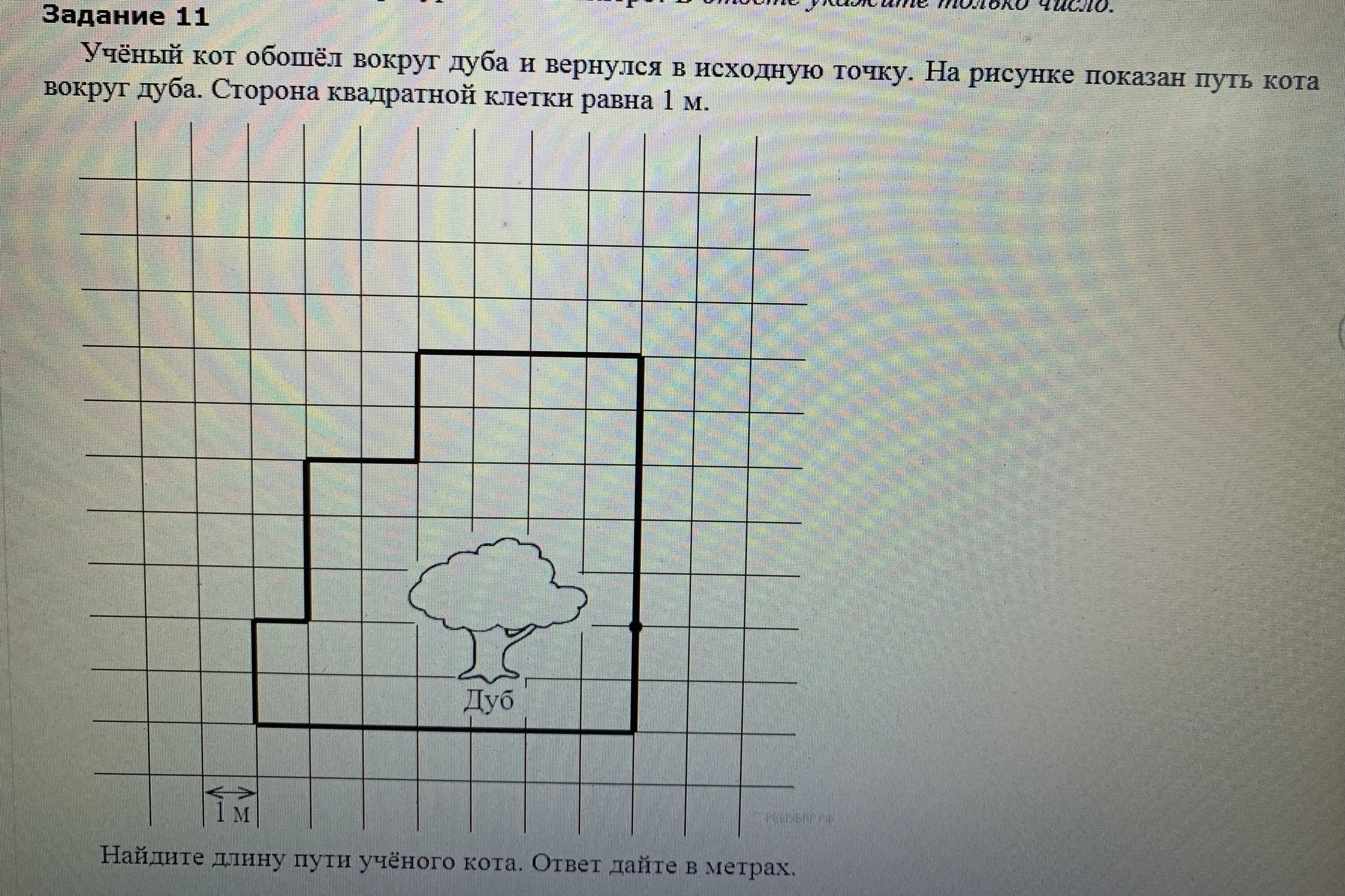 Найдите длину пути вокруг дуба. Ученый кот обошел вокруг дуба и вернулся в исходную точку. Учёный кот обошёл вокруг дуба и вернулся в исходную точку на рисунке. Изобразить путь кота вокруг дуба. Учёный кот обошёл вокруг.