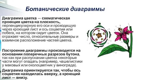 Кроющий лист