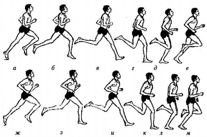 Тренировка бегунов на средние дистанции. Техника бега на средние дистанции 1000,500 м.. 1. Техника бега на средние дистанции.. Бег на средние дистанции техника бега. Техника бега на длинные дистанции (2 и3 км ).