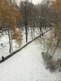 Внезапная зима