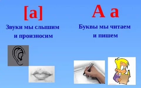 Звуки мы и буквы мы закончить предложения