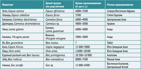 Время приручения видов животных