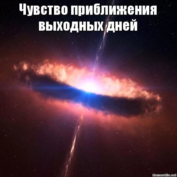 Почувствовал. Смешные приколы про запахи. Чувствую приближается. Чувствуешь. Чувствуете свободой пахнет.