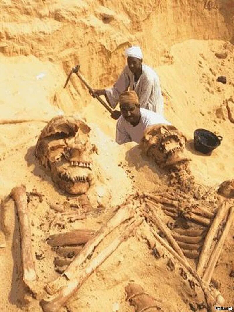 История неведомое. Люди гиганты Лемурийцы Атланты. Великаны люди скелеты исполины. Скелет великана в Египте. Раскопки скелетов людей-великанов.